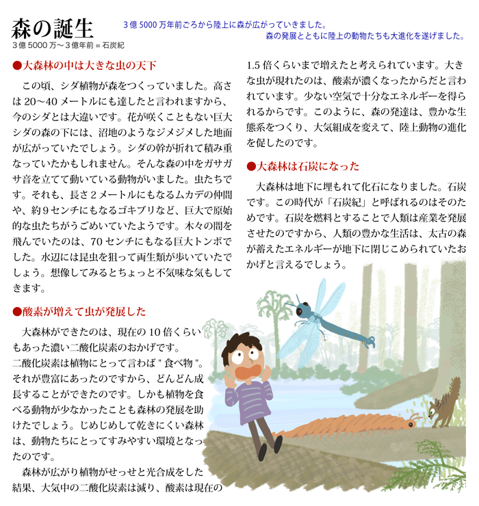 森の誕生